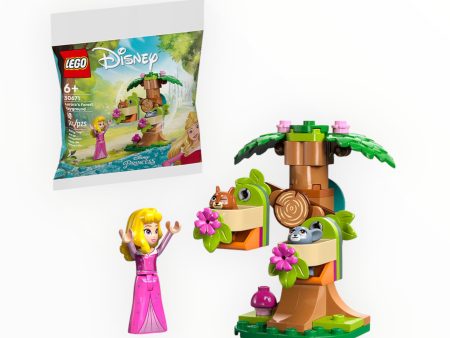 Polybag 30671 Disney Aurora’s Forest Playground Online now